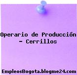 Operario de Producción – Cerrillos