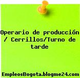 Operario de producción / Cerrillos/Turno de tarde
