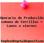 Operario de Producción comuna de Cerrillos – Lunes a viernes