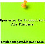 Operario De Producción /la Pintana