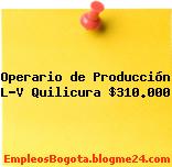 Operario de Producción L-V Quilicura $310.000
