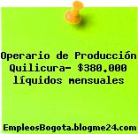 Operario de Producción Quilicura- $380.000 líquidos mensuales