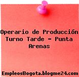 Operario de Producción Turno Tarde – Punta Arenas