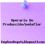 Operario De Producción/peñaflor