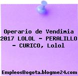 Operario de Vendimia 2017 LOLOL – PERALILLO – CURICO, Lolol