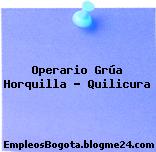 Operario Grúa Horquilla – Quilicura