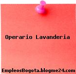 Operario Lavanderia
