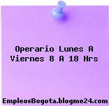 Operario Lunes A Viernes 8 A 18 Hrs