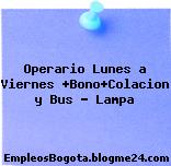 Operario Lunes a Viernes +Bono+Colacion y Bus – Lampa