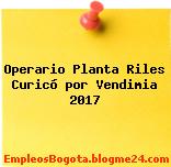 Operario Planta Riles Curicó por Vendimia 2017