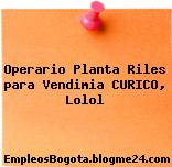 Operario Planta Riles para Vendimia CURICO, Lolol