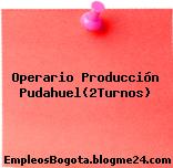 Operario Producción Pudahuel(2Turnos)