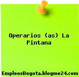 Operarios (as) La Pintana