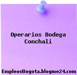 Operarios Bodega Conchali