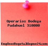 Operarios Bodega Pudahuel 310000