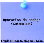 Operarios de Bodega (COYHAIQUE)