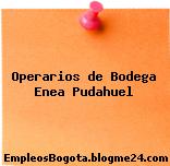 Operarios de Bodega Enea Pudahuel