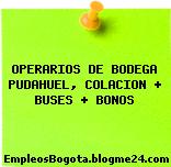 OPERARIOS DE BODEGA PUDAHUEL, COLACION + BUSES + BONOS