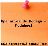 Operarios de Bodega – Pudahuel
