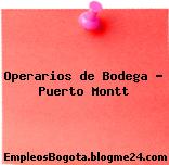 Operarios de Bodega – Puerto Montt