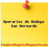 Operarios de Bodega San Bernardo