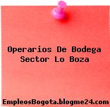 Operarios De Bodega Sector Lo Boza