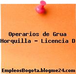 Operarios de Grua Horquilla – Licencia D