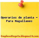 Operarios de planta – Para Magallanes