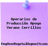 Operarios de Producción Apoyo Verano Cerrillos