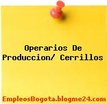 Operarios de producción – Cerrillos