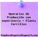 Operarios de Producción con experiencia – Planta Cerrillos