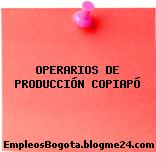 OPERARIOS DE PRODUCCIÓN COPIAPÓ