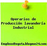 Operarios de Producción lavandería Industrial