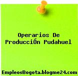 Operarios De ProducciÓn Pudahuel