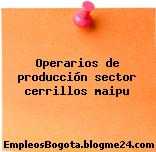 Operarios de producción sector cerrillos maipu