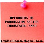 OPERARIOS DE PRODUCCION SECTOR INDUSTRIAL ENEA
