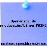 Operarios de producción/Línea PAINE