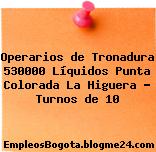 Operarios de Tronadura 530000 Líquidos Punta Colorada La Higuera – Turnos de 10