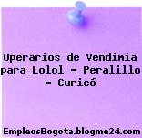 Operarios de Vendimia para Lolol – Peralillo – Curicó
