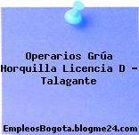 Operarios Grúa Horquilla Licencia D – Talagante