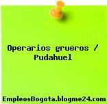 Operarios grueros / Pudahuel