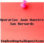 Operarios Juan Maestro San Bernardo