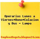 Operarios Lunes a Viernes+Bono+Colacion y Bus – Lampa