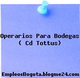 Operarios Para Bodegas ( Cd Tottus)