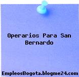 Operarios Para San Bernardo