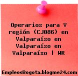 Operarios para V región (CJ086) en Valparaíso en Valparaíso en Valparaíso | WR