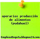 operarios producción de alimentos (pudahuel)