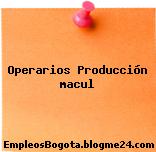 Operarios Producción macul