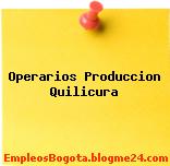 Operarios Produccion Quilicura