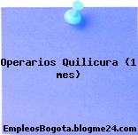 Operarios Quilicura (1 mes)